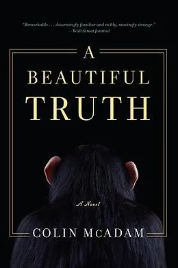 E-Book (epub) A Beautiful Truth von Colin Mcadam