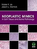 E-Book (epub) Neoplastic Mimics in Soft Tissue and Bone Pathology von Vickie Y. Jo, Jason L. Hornick