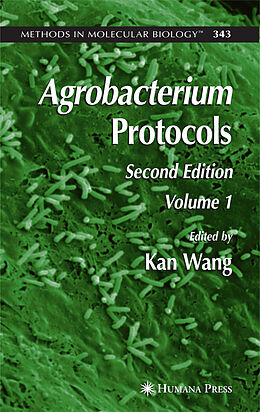 Kartonierter Einband Agrobacterium Protocols von 