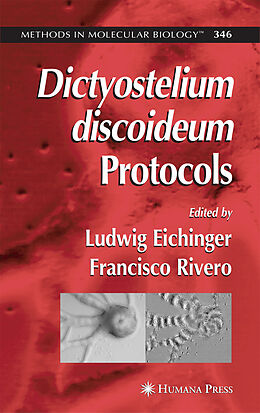 Kartonierter Einband Dictyostelium discoideum Protocols von 