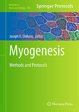 Fester Einband Myogenesis von 