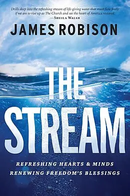 E-Book (epub) The Stream von James Robison