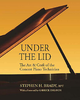 E-Book (epub) Under the Lid von Stephen H. Brady