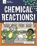 E-Book (epub) Chemical Reactions! von Susan Berk Koch