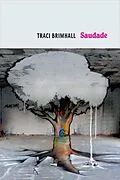 E-Book (epub) Saudade von Traci Brimhall