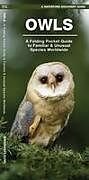 Agrafé Owls de James Kavanagh