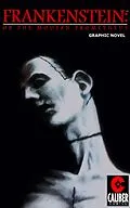 E-Book (pdf) Frankenstein: Or the Modern Prometheus von Eric Jackson