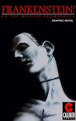 E-Book (pdf) Frankenstein: Or the Modern Prometheus von Eric Jackson