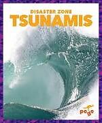 Fester Einband Tsunamis von Cari Meister