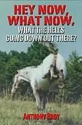 E-Book (epub) Hey Now, What Now von Anthony Broy