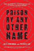 E-Book (epub) Prison by Any Other Name von Maya Schenwar