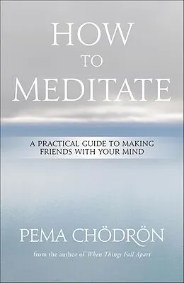 E-Book (epub) How to Meditate von Pema Chödrön