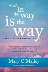 Kartonierter Einband What's in the Way Is the Way von Mary O'Malley