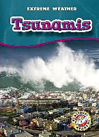 Couverture cartonnée Tsunamis de Anne Wendorff