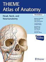 eBook (pdf) Head, Neck, and Neuroanatomy (THIEME Atlas of Anatomy) de Michael Schuenke, Erik Schulte, Udo Schumacher