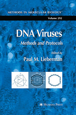 Kartonierter Einband DNA Viruses von Paul M Lieberman