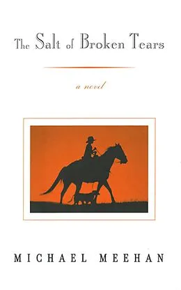 E-Book (epub) The Salt of Broken Tears von Michael Meehan