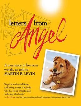 E-Book (epub) Letters from Angel von Martin P. Levin