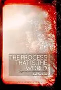 E-Book (epub) The Process That Is the World von Joe Panzner