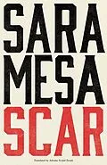 E-Book (epub) Scar von Sara Mesa