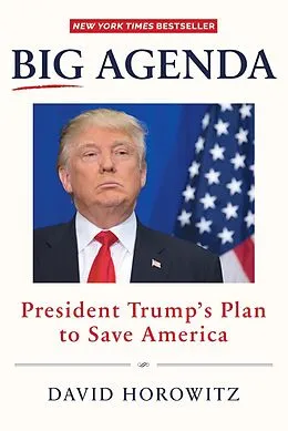 E-Book (epub) Big Agenda von David Horowitz