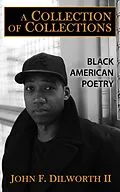 E-Book (epub) A Collection of Collections von John F. Dilworth II