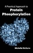 Fester Einband A Practical Approach to Protein Phosphorylation von 
