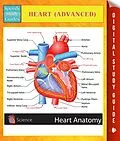 E-Book (epub) Heart (Advanced) Speedy Study Guides von Speedy Publishing