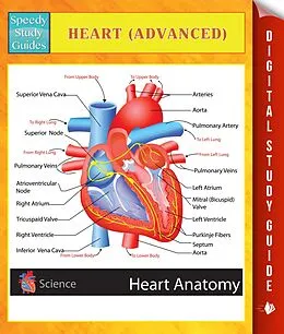 E-Book (epub) Heart (Advanced) Speedy Study Guides von Speedy Publishing