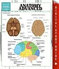 E-Book (epub) Anatomy Advanced von Speedy Publishing