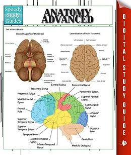 E-Book (epub) Anatomy Advanced von Speedy Publishing