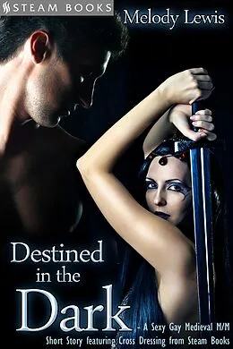E-Book (epub) Destined in the Dark - Historical Cross-Dressing Medieval M/M Erotica from Steam Books von Melody Lewis, Steam Books