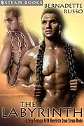 E-Book (epub) The Labyrinth - A Sexy Fantasy M/M Novelette from Steam Books von Bernadette Russo, Steam Books