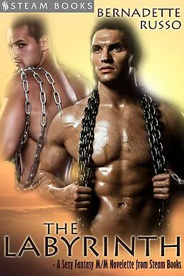 E-Book (epub) The Labyrinth - A Sexy Fantasy M/M Novelette from Steam Books von Bernadette Russo, Steam Books