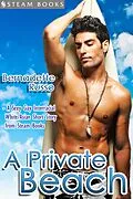 E-Book (epub) A Private Beach - Sexy Gay Interracial M/M White-on-Asian Erotica from Steam Books von Bernadette Russo, Steam Books