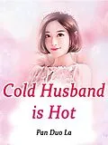 E-Book (epub) Cold Husband is Hot von Pan DuoLa