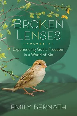 E-Book (epub) Broken Lenses Volume 3 von Emily Bernath
