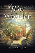 E-Book (epub) Of Woe or Wonder von Tony J. Stafford
