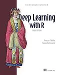 E-Book (epub) Deep Learning with R, Third Edition von François Chollet, Tomasz Kalinowski