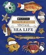 Couverture cartonnée Brain Games - Sticker by Number - Vintage: Sea Life (28 Images to Sticker) de Publications International Ltd, New Seasons, Brain Games