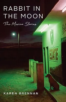 E-Book (pdf) Rabbit in the Moon von Karen Brennan