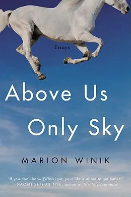 E-Book (epub) Above Us Only Sky von Marion Winik