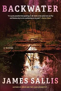 E-Book (epub) Backwater von James Sallis