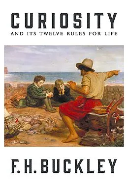 E-Book (epub) Curiosity von F. H. Buckley