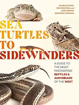 E-Book (epub) Sea Turtles to Sidewinders von Charles Hood, Erin Westeen, Jose Gabriel Martinez-Fonseca