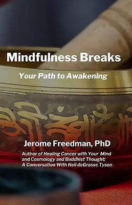 E-Book (epub) Mindfulness Breaks von Jerome Freedman