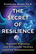 E-Book (epub) The Secret of Resilience von Stephanie Mines