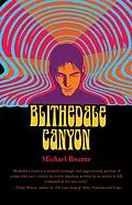 E-Book (epub) Blithedale Canyon von Michael Bourne