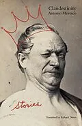 E-Book (epub) Clandestinity von Antonio Moresco