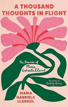 E-Book (epub) A Thousand Thoughts in Flight von Maria Gabriela Llansol